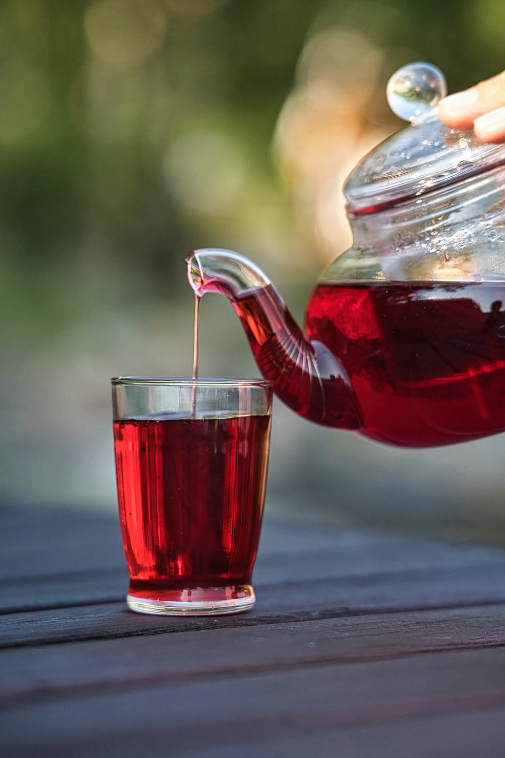 Hibiscus Blomst - 50g Økologisk