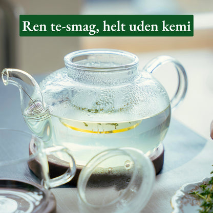 Glas tekande med filter
