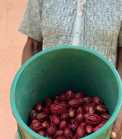 Muskatblomme  - 10 g fra Sri Lanka til din te.