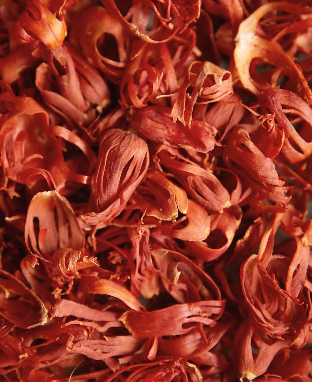 Muskatblomme  - 10 g fra Sri Lanka til din te.