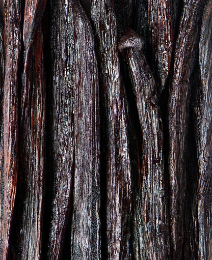Vanilla Tea Rot - Sort Te 5 styk - Sri Lanka